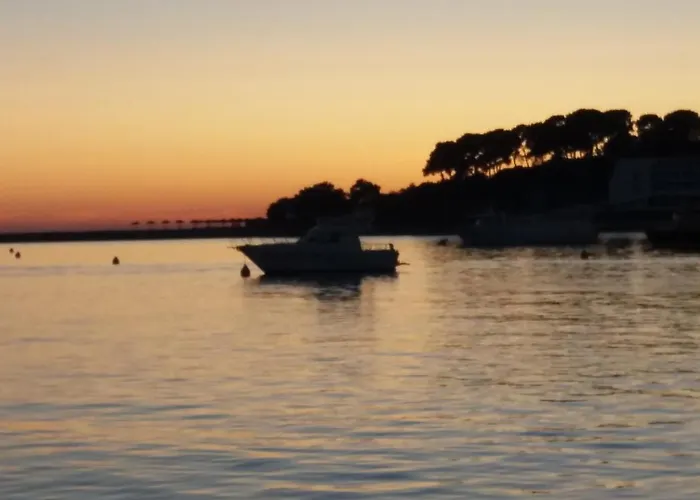 Apartament New Center Design *