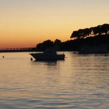 アパート New Center Design *