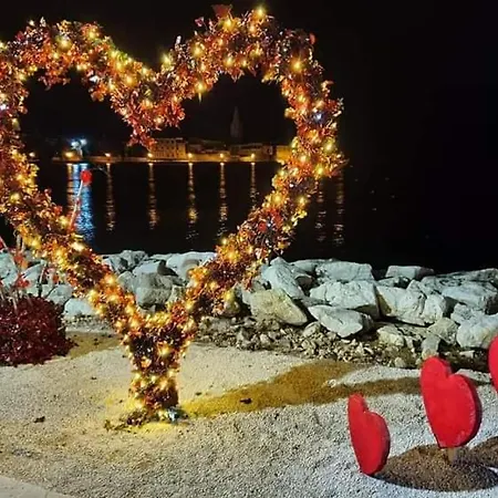 New Center Design * ポレッチ