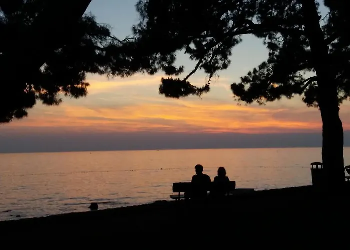 New Center Design Lejlighed *