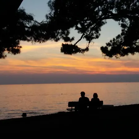 New Center Design Apartment *