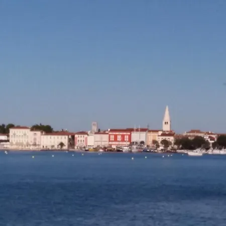 New Center Design Apartment